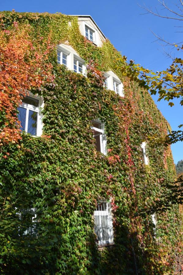 Burg Schöna Schmilka Exteriör bild